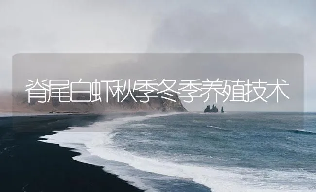 脊尾白虾秋季冬季养殖技术 | 海水养殖技术