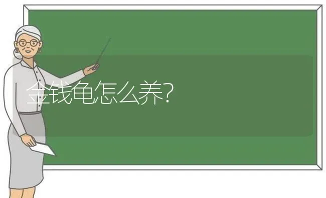 小狗月经来了呕吐是怎么回?小狗月经来了呕吐？ | 动物养殖问答