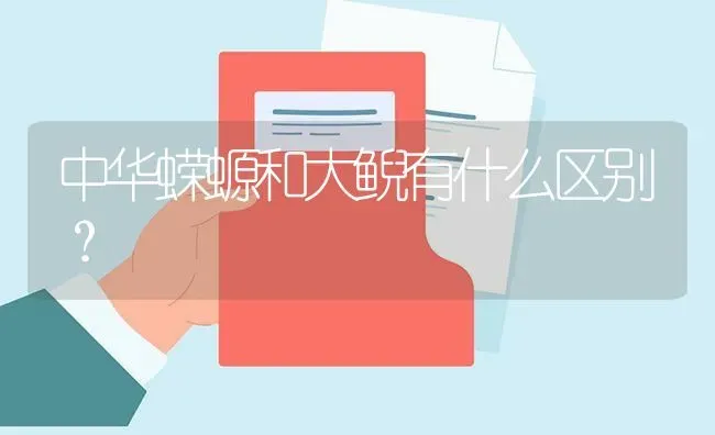 中华蝾螈和大鲵有什么区别？ | 鱼类宠物饲养