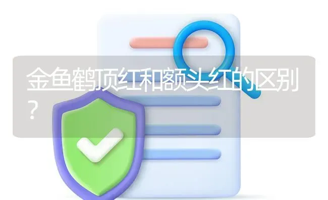 金鱼鹤顶红和额头红的区别？ | 鱼类宠物饲养