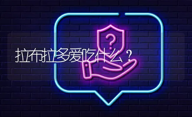 拉布拉多爱吃什么？ | 动物养殖问答