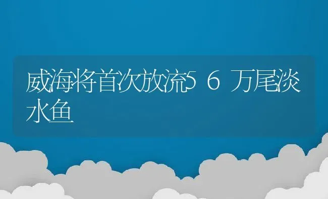 威海将首次放流56万尾淡水鱼 | 动物养殖教程