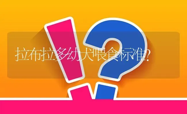 拉布拉多幼犬喂食标准？ | 动物养殖问答