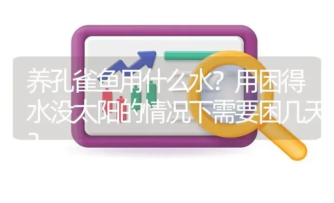 养孔雀鱼用什么水？用困得水没太阳的情况下需要困几天？ | 鱼类宠物饲养