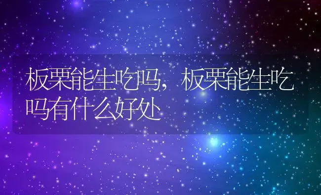 板栗能生吃吗,板栗能生吃吗有什么好处 | 宠物百科知识