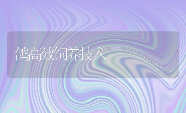 鸽高效饲养技术 | 水产养殖知识