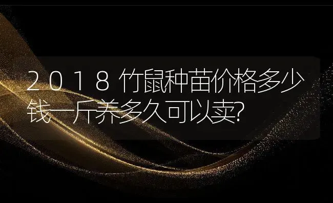 2018竹鼠种苗价格多少钱一斤养多久可以卖? | 动物养殖百科