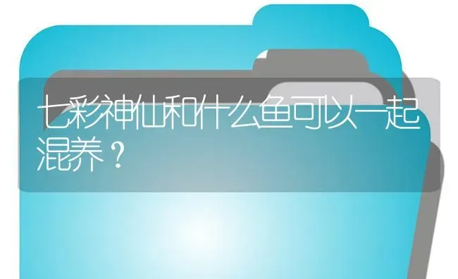 七彩神仙和什么鱼可以一起混养？ | 鱼类宠物饲养