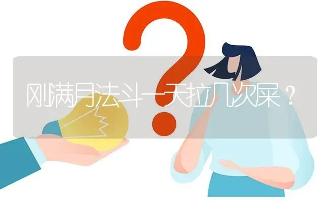 刚满月法斗一天拉几次屎？ | 动物养殖问答