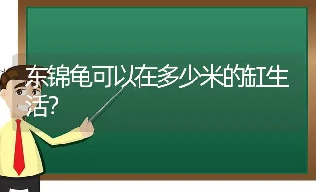 东锦龟可以在多少米的缸生活？ | 动物养殖问答