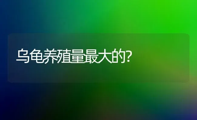 乌龟养殖量最大的？ | 动物养殖问答