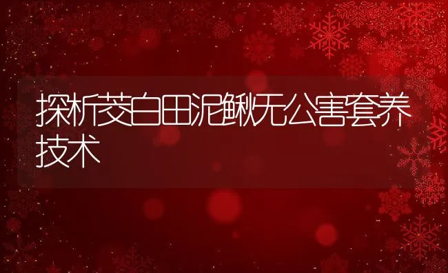 探析茭白田泥鳅无公害套养技术 | 动物养殖学堂