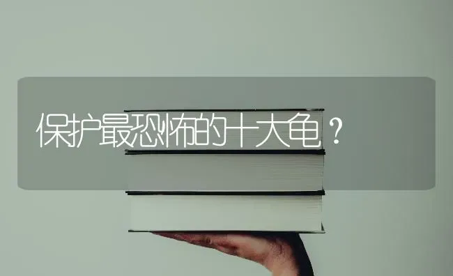 保护最恐怖的十大龟？ | 动物养殖问答