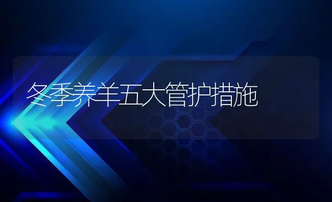 冬季养羊五大管护措施 | 动物养殖学堂