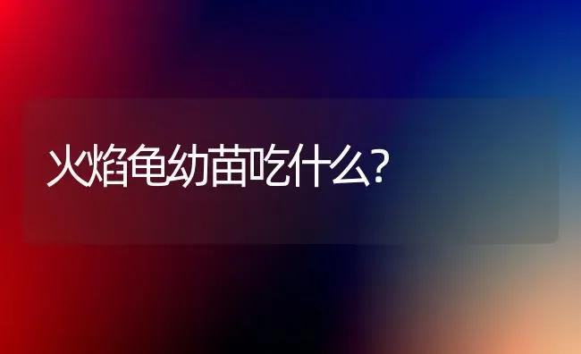 火焰龟幼苗吃什么？ | 动物养殖问答