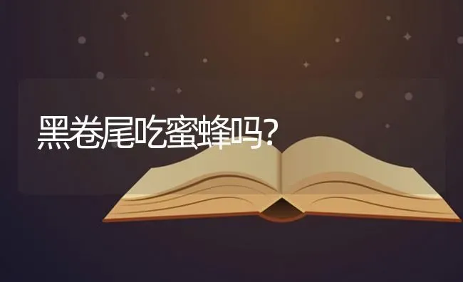 黑卷尾吃蜜蜂吗？ | 动物养殖问答