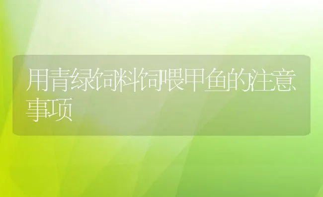 用青绿饲料饲喂甲鱼的注意事项 | 动物养殖饲料