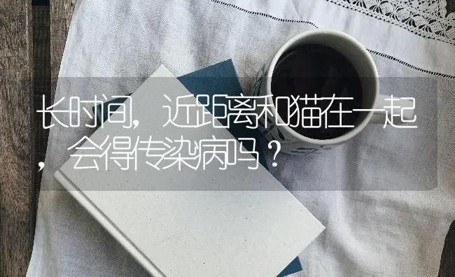 长时间，近距离和猫在一起，会得传染病吗？ | 动物养殖问答