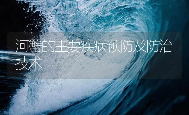 河蟹的主要疾病预防及防治技术 | 海水养殖技术