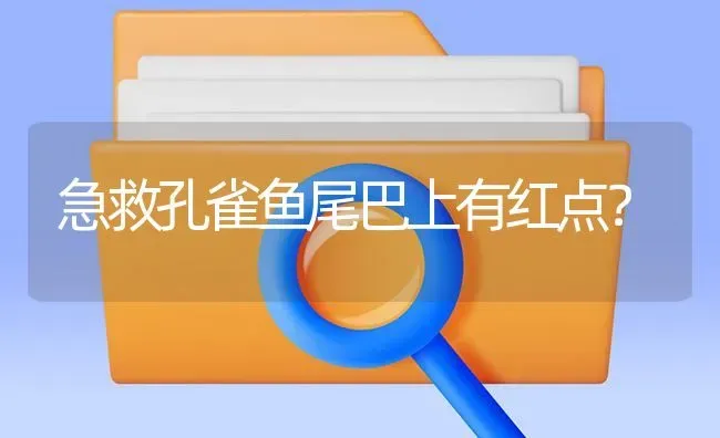 养金鱼多久才能养成30厘米？ | 鱼类宠物饲养