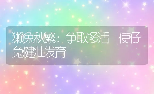 獭兔秋繁：争取多活 使仔兔健壮发育 | 水产养殖知识