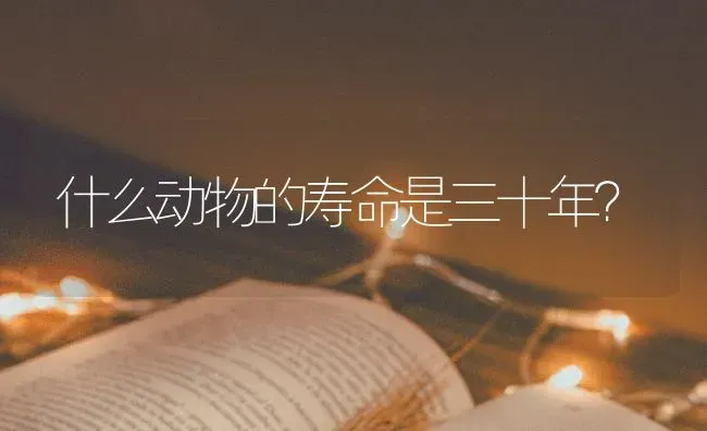 什么动物的寿命是三十年？ | 动物养殖问答