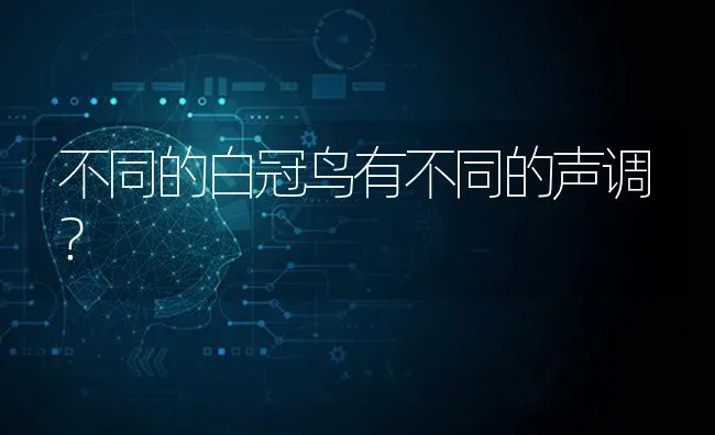 不同的白冠鸟有不同的声调？ | 动物养殖问答