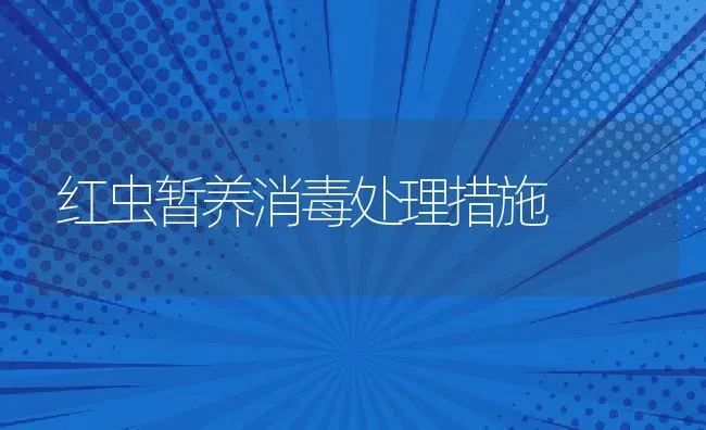 红虫暂养消毒处理措施 | 动物养殖饲料