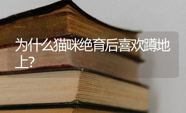 为什么猫咪绝育后喜欢蹲地上？ | 动物养殖问答