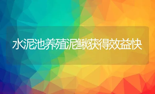 水泥池养殖泥鳅获得效益快 | 水产养殖知识