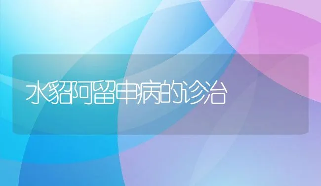 水泥池养殖黄鳝的管理技术 | 水产养殖知识