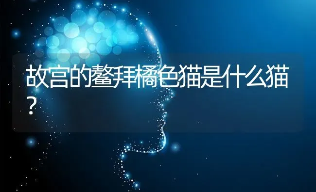 才生下来的小狗难成活的原因？ | 动物养殖问答