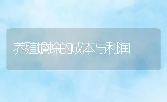 养殖蟾蜍的成本与利润 | 动物养殖百科