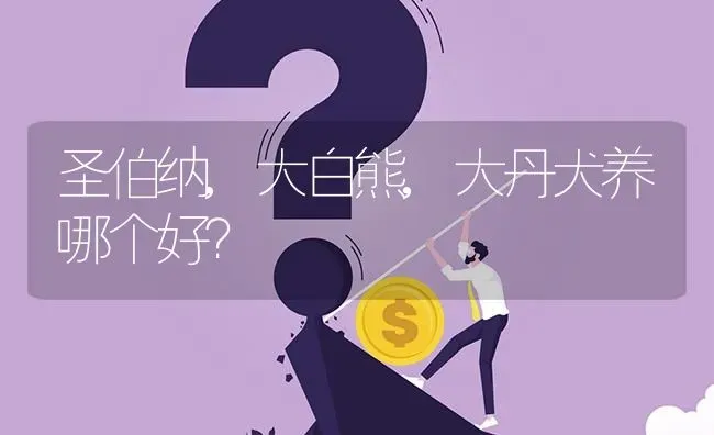 圣伯纳,大白熊,大丹犬养哪个好？ | 动物养殖问答