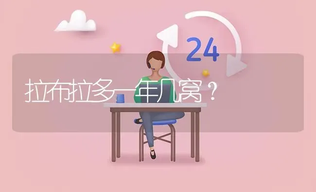 拉布拉多一年几窝？ | 动物养殖问答