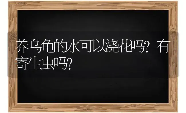 养乌龟的水可以浇花吗?有寄生虫吗？ | 动物养殖问答