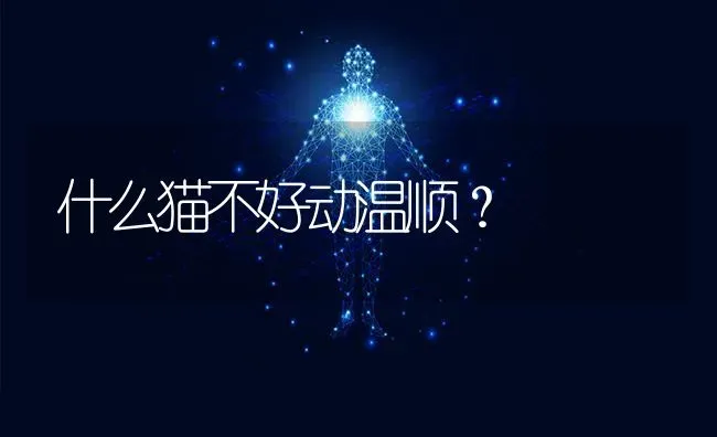 什么猫不好动温顺？ | 动物养殖问答