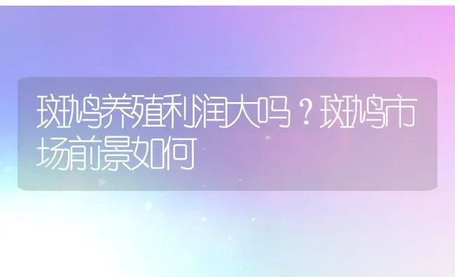 斑鸠养殖利润大吗？斑鸠市场前景如何 | 动物养殖百科