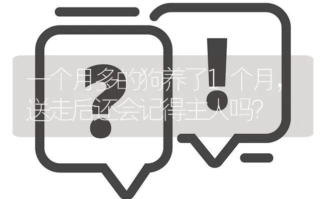 一个月多的狗养了1个月，送走后还会记得主人吗？ | 动物养殖问答