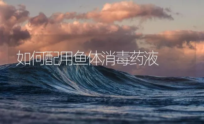 澳洲龙虾高产养殖技术 | 海水养殖技术