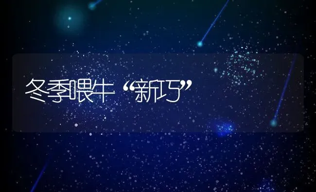 冬季喂牛“新巧” | 动物养殖百科