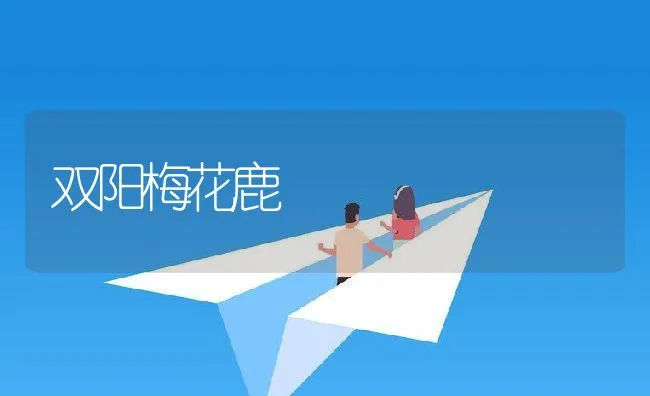 双阳梅花鹿 | 动物养殖学堂