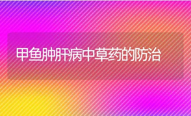 甲鱼肿肝病中草药的防治 | 水产养殖知识