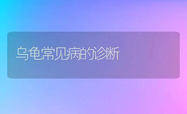 乌龟常见病的诊断 | 水产养殖知识