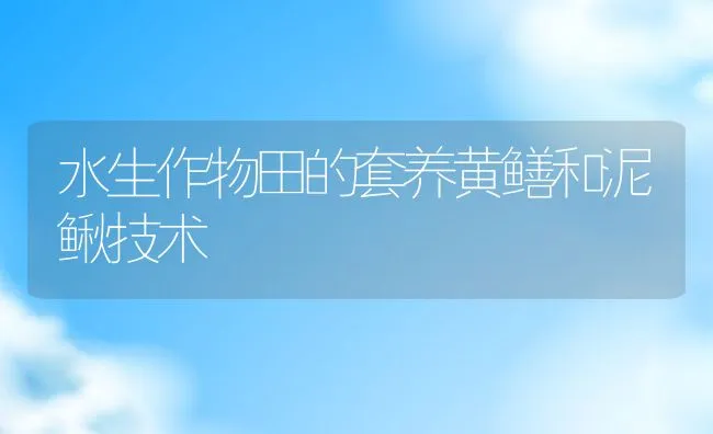 水生作物田的套养黄鳝和泥鳅技术 | 动物养殖饲料