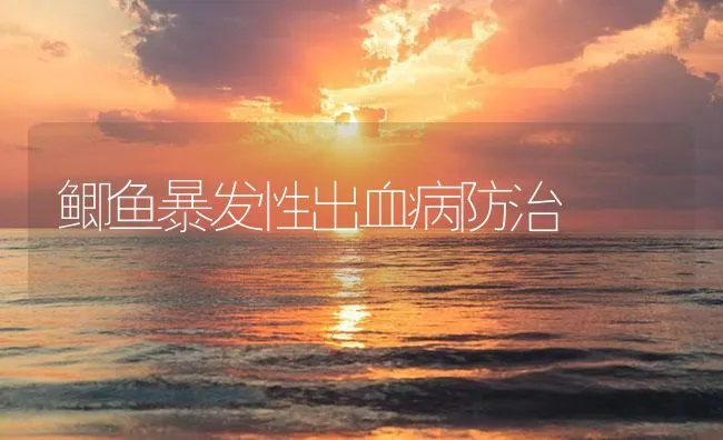 鲫鱼暴发性出血病防治 | 海水养殖技术