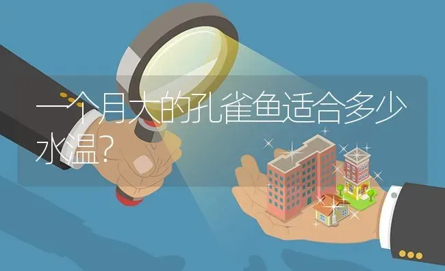 一个月大的孔雀鱼适合多少水温？ | 鱼类宠物饲养