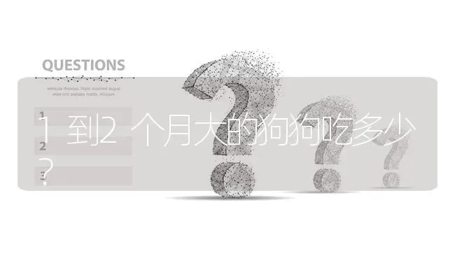 1到2个月大的狗狗吃多少？ | 动物养殖问答