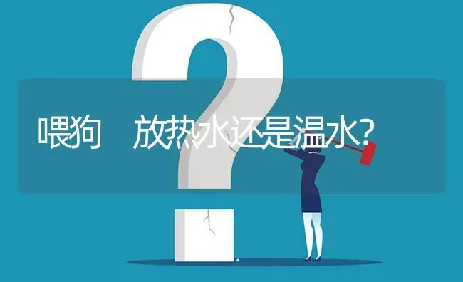 喂狗 放热水还是温水？ | 动物养殖问答