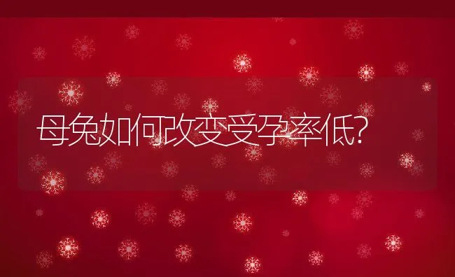 母兔如何改变受孕率低？ | 水产养殖知识